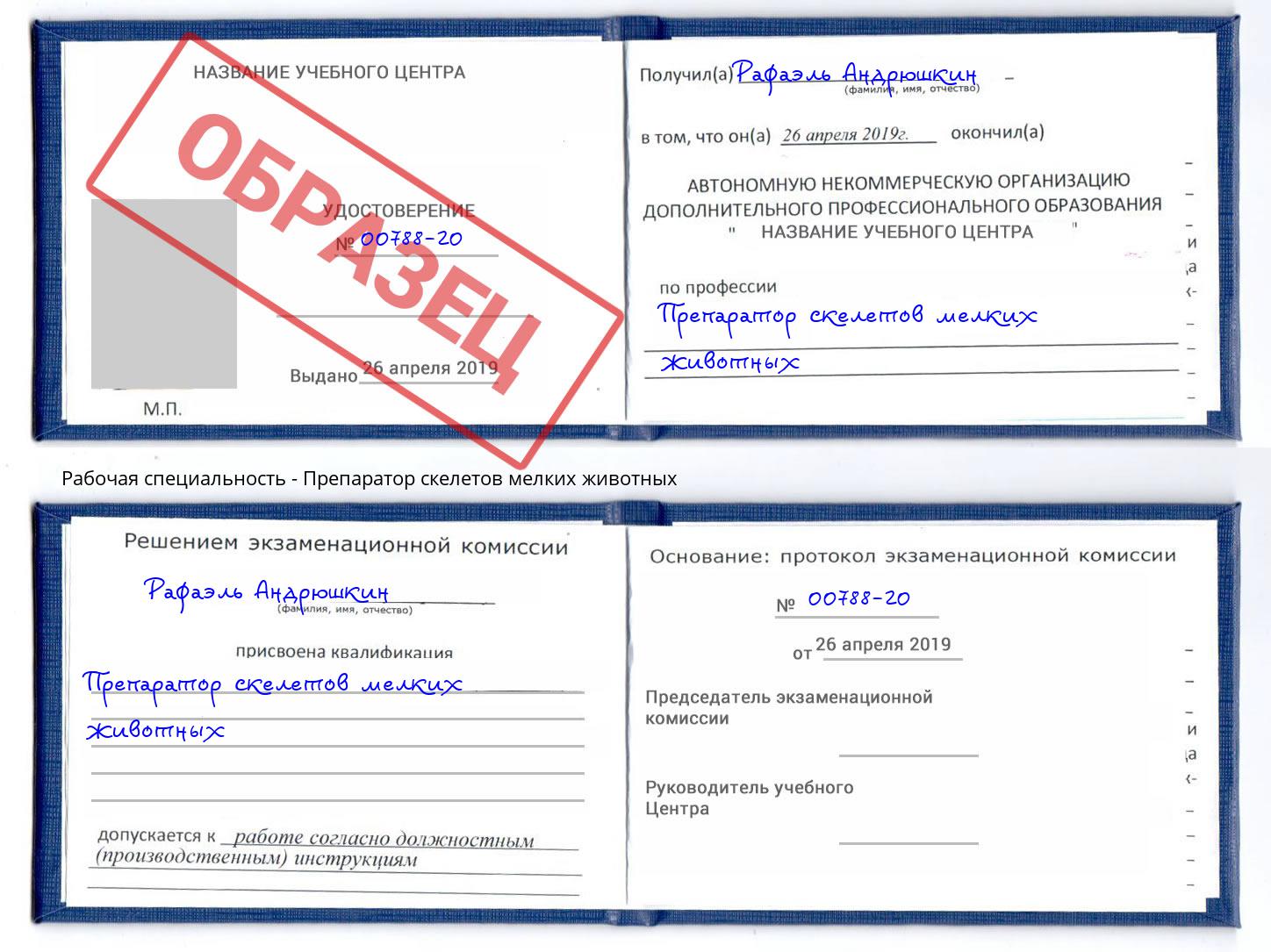 Препаратор скелетов мелких животных Шебекино