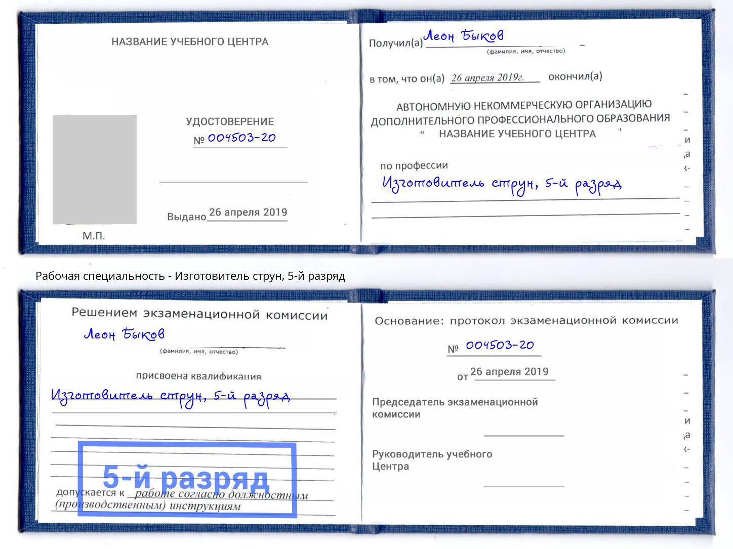 корочка 5-й разряд Изготовитель струн Шебекино