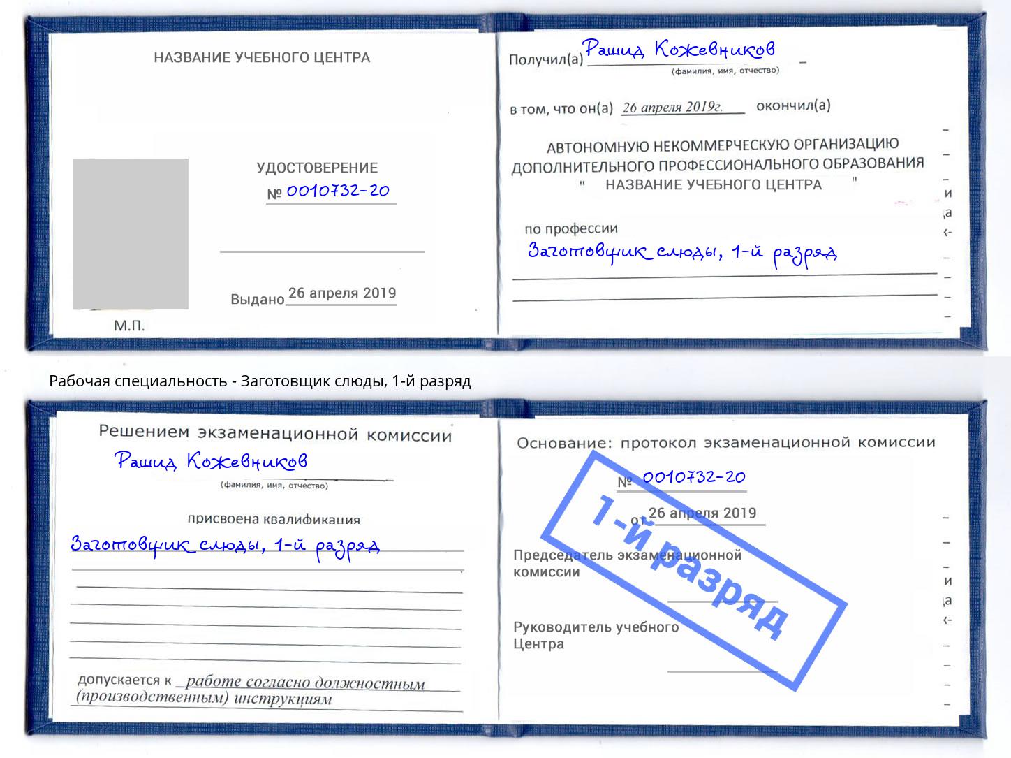 корочка 1-й разряд Заготовщик слюды Шебекино